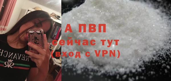 сатива Корсаков