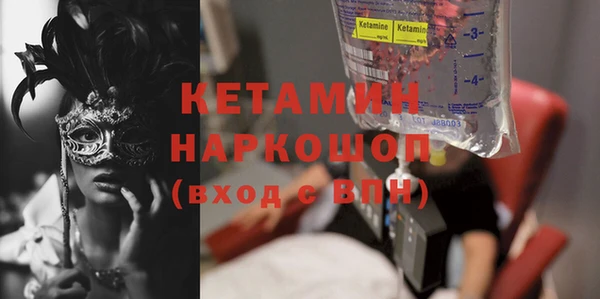 сатива Корсаков