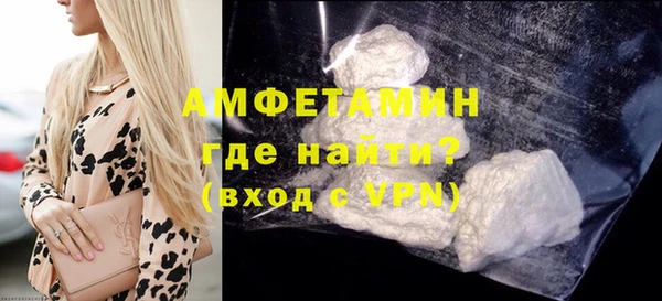 сатива Корсаков