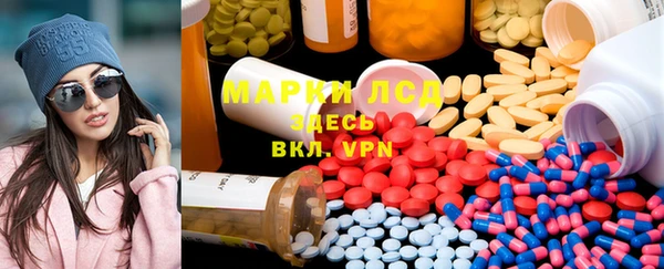 сатива Корсаков