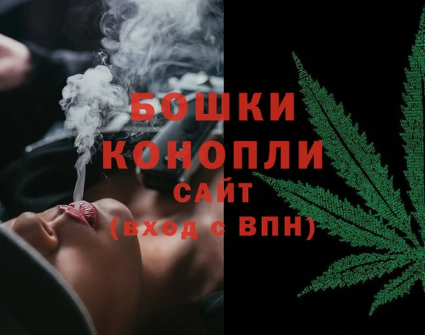 сатива Корсаков