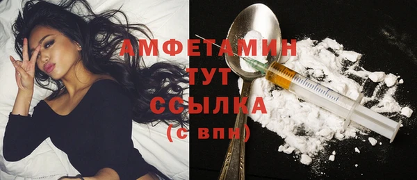 сатива Корсаков